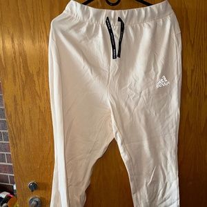 Adidas Primeblue Pants Beige